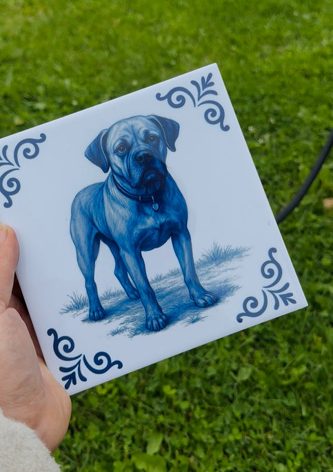 Hondje op tegeltje