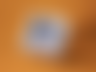 Nieuwe spreekwoorden boek