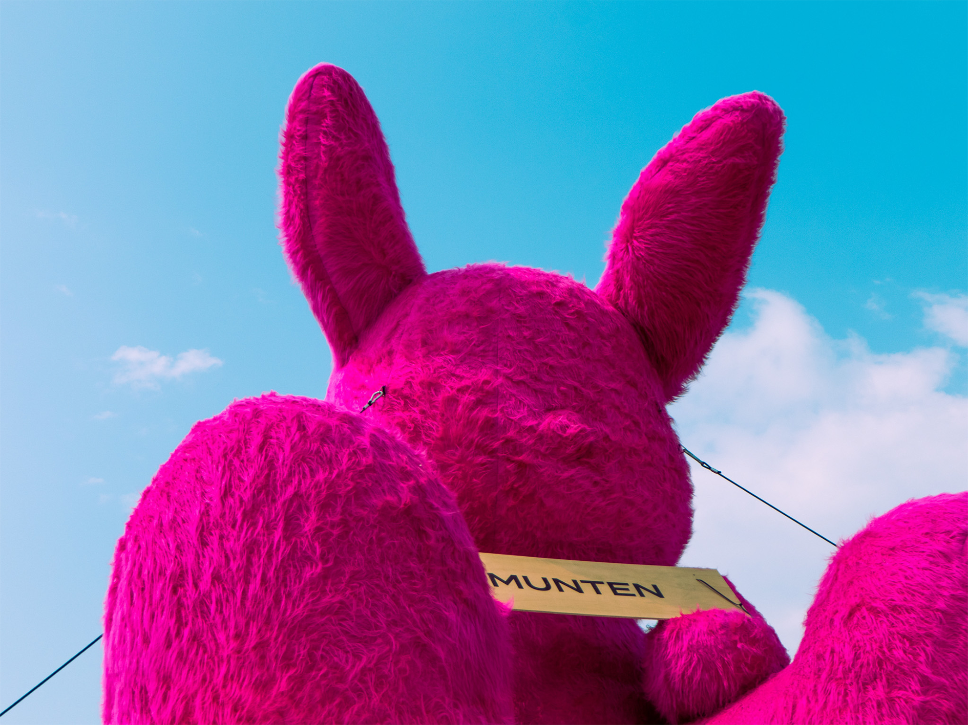 Fluffy roze konijn
