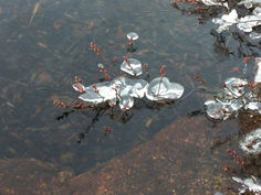 Waterval Skrelia