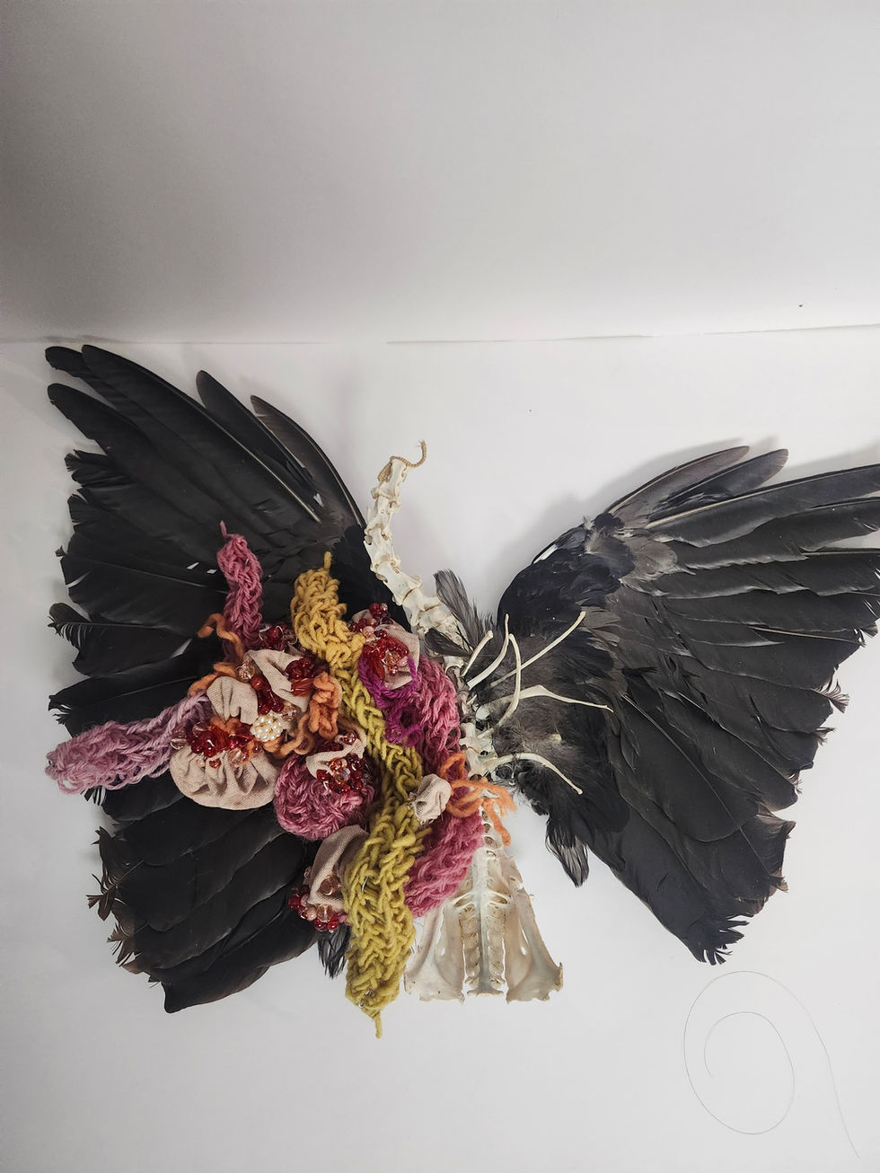 crow