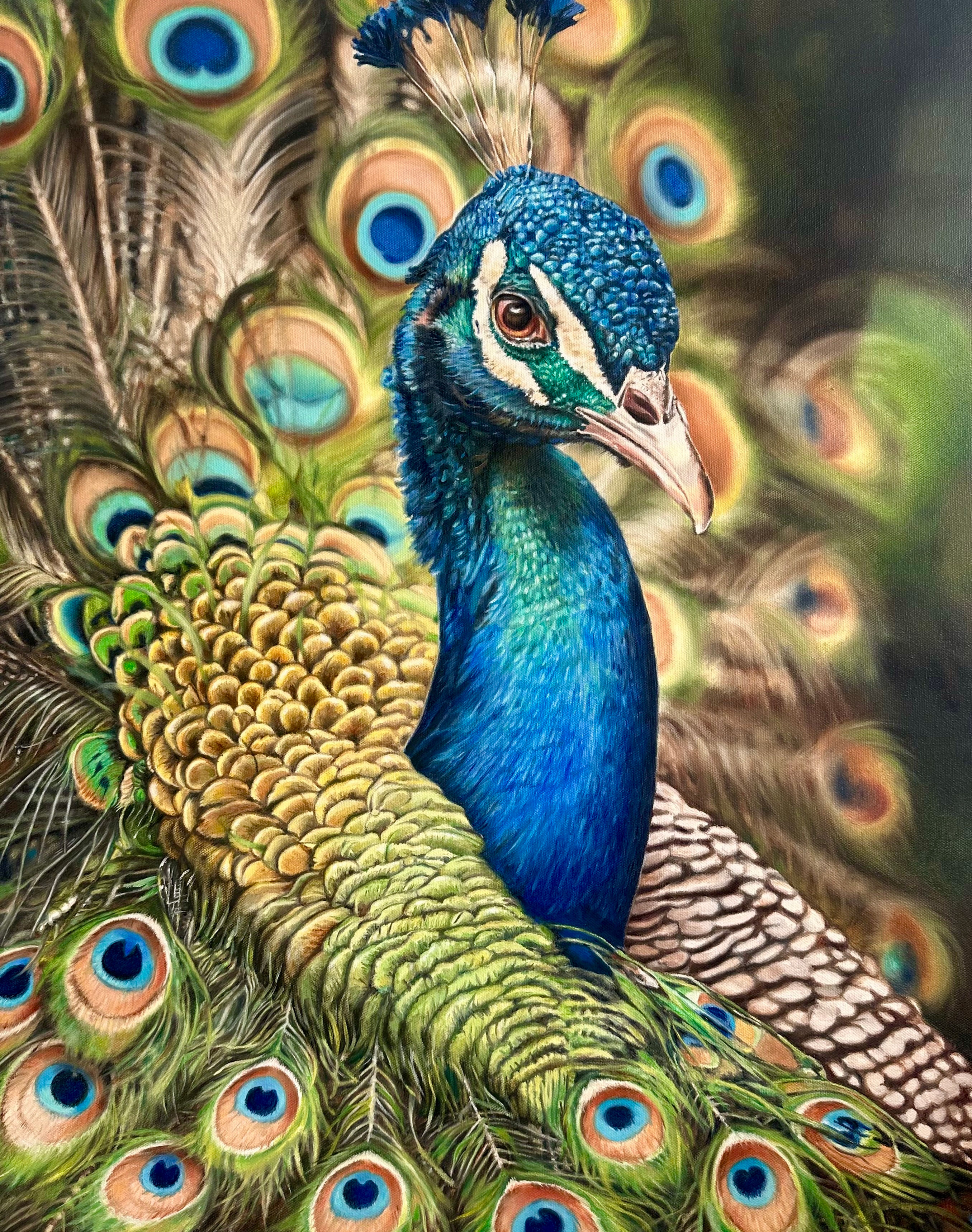 The Abundant Peacock