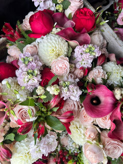 8da98e98-de1a-4deb-82fa-89a663f95531