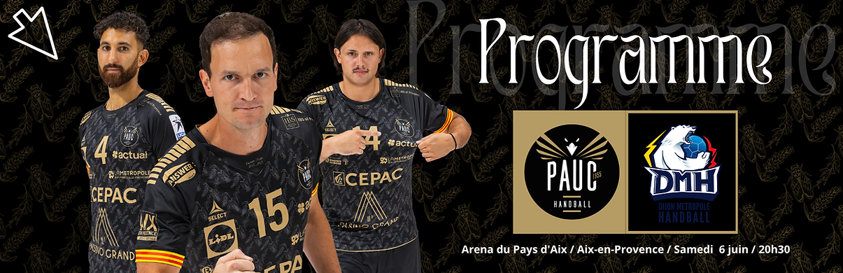 NEWSLETTER PAUC.png