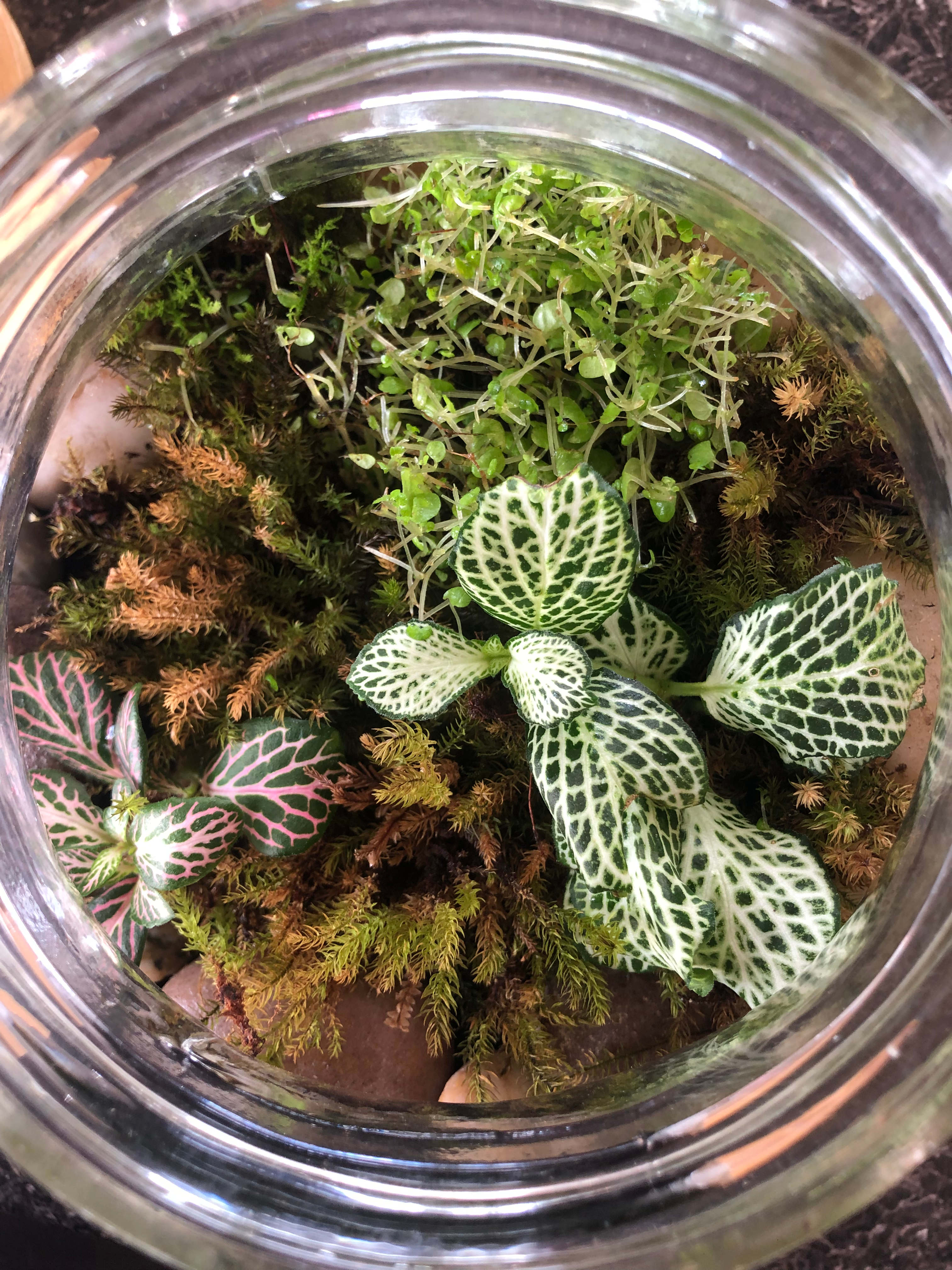 Closed Ribbed Jar
