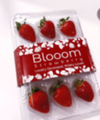 Red Strawberry