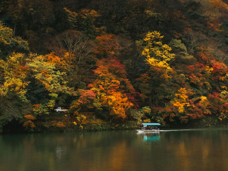 November Melancholia II: how to navigate it?