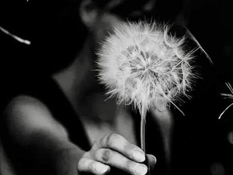 She was the Dandelion