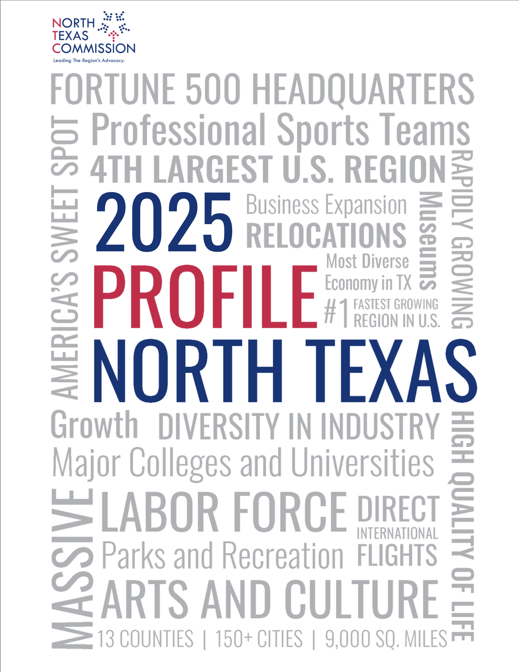 North Texas Regional Overview 2025