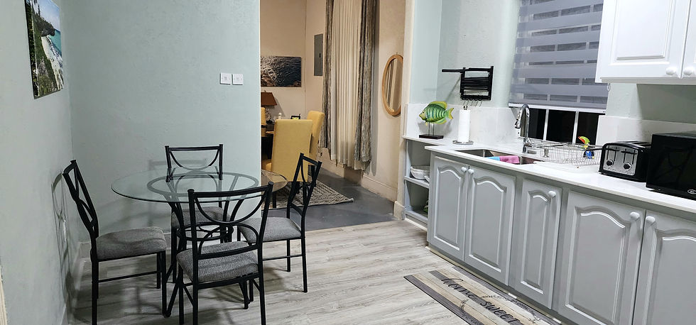 replacement 2nd kitchen long shot