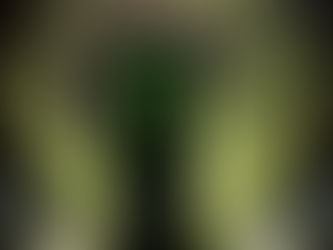 Behind the Scenes: The Monster Energy Splash