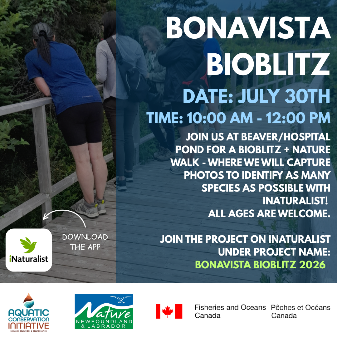 Bonavista BioBlitz at Beaver Pond