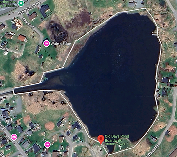 Screenshot 2025-03-05 100440.png