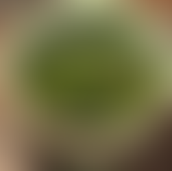 Close up of spiced chickpeas topped with golden honey roasted chicken and vibrant green salsa verde