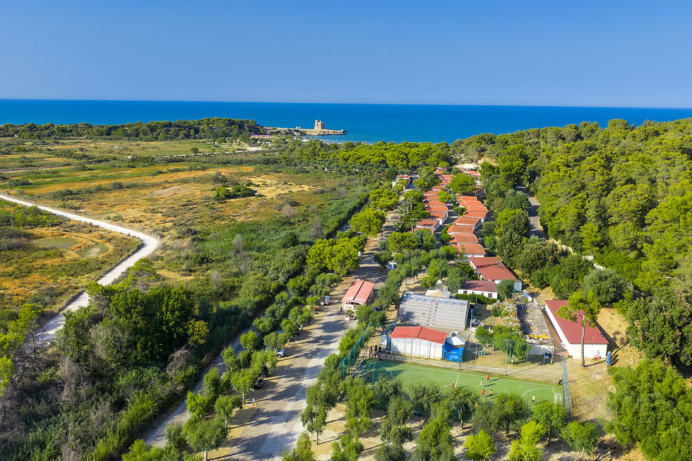 1. DJI_20250724174911_0065_D