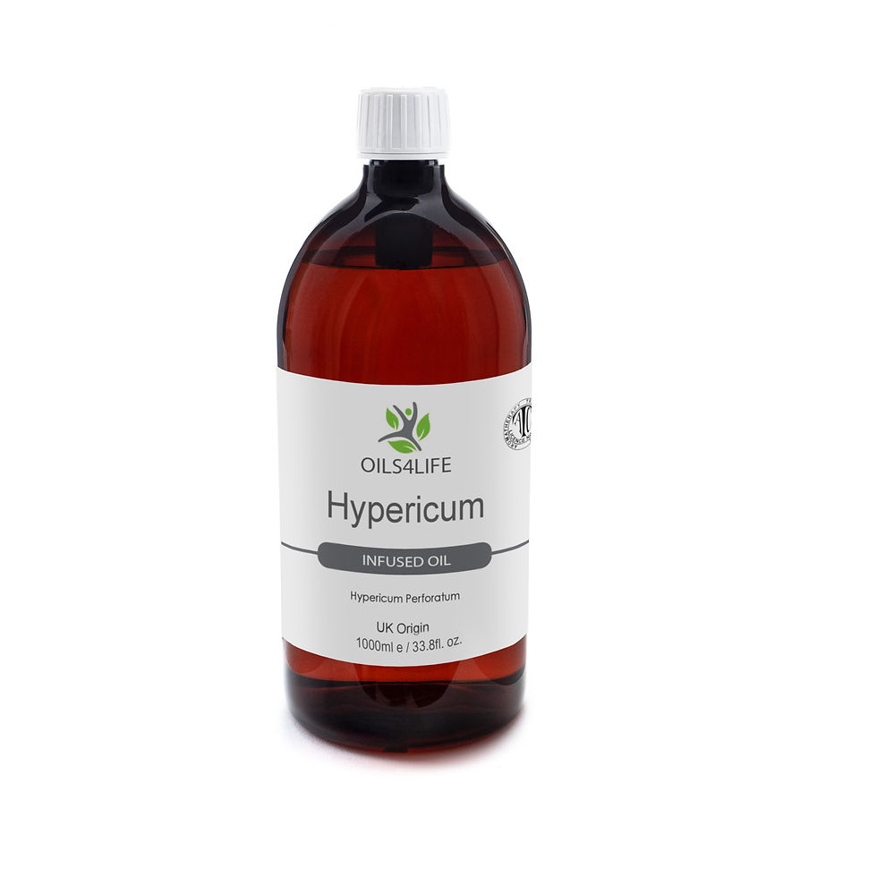 縮圖：Hypericum Oil Infused - Hypericum Perforatum Oil