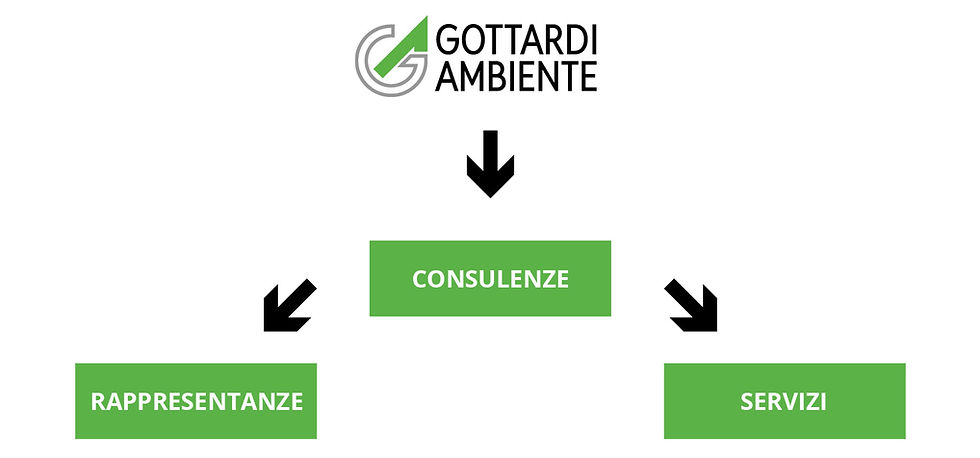 RAPPRESENTANZE SCHEMA_GOTTARDI AMBIENTE SAGL.jpg