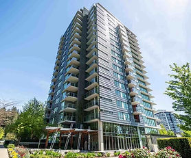 Sophia Sun's property management business