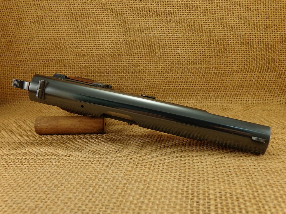 Browning HP T173756 (1)