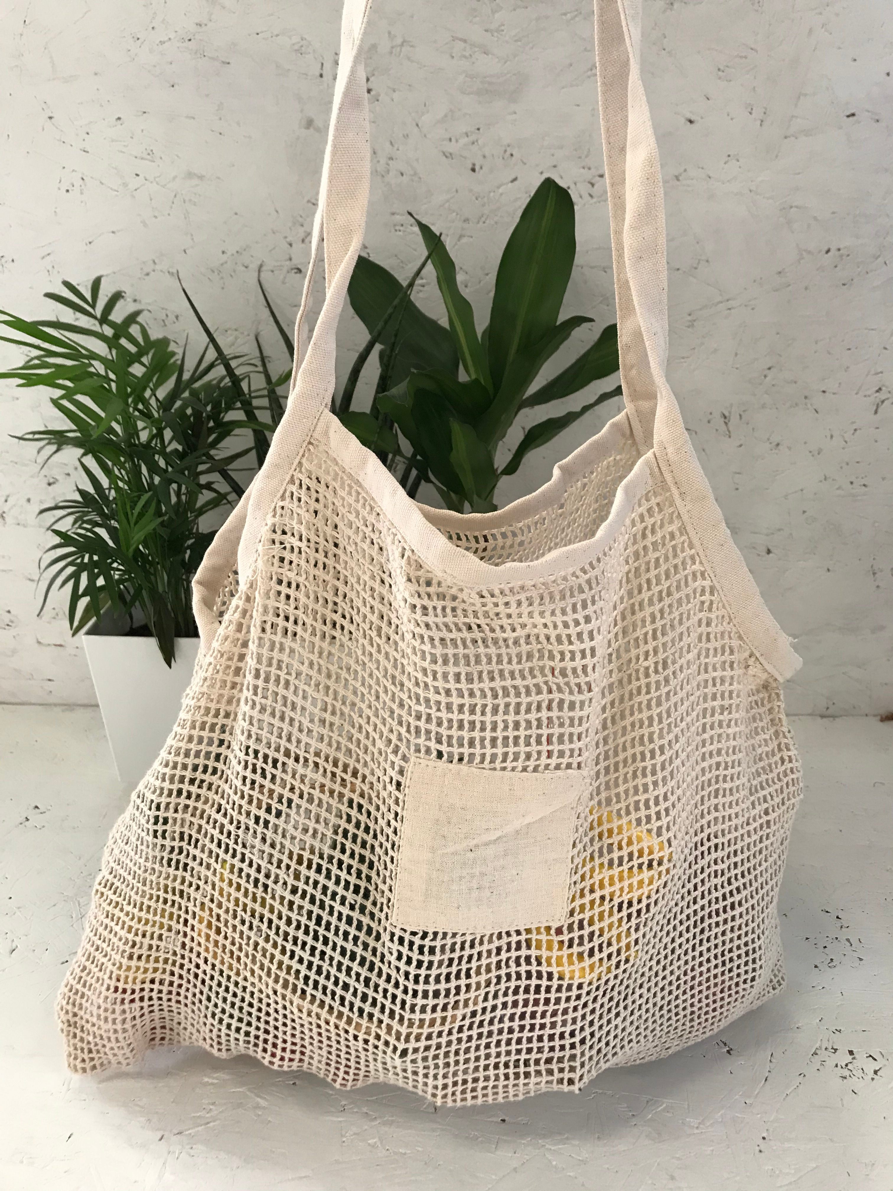 Scholarship REF 311134