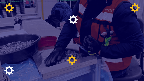 gifs servicios sitio web-2.gif