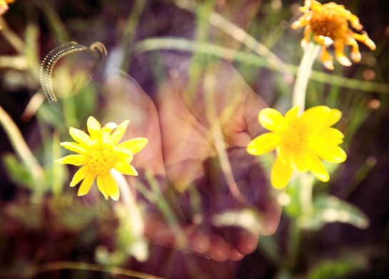 Healing & Transformation through embodiment