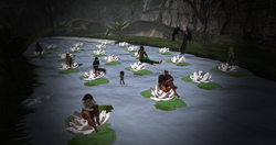 Babies_014