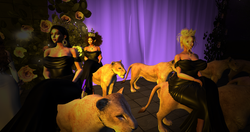 Big Sister Authentik_011