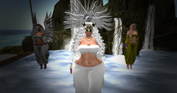 Snapshot_009