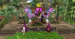 snapshot_003