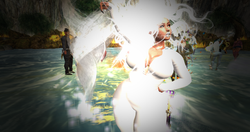 Snapshot_029