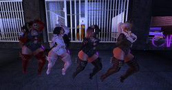 Rose_003