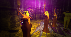 Coco_003