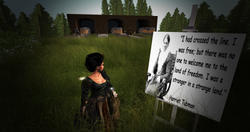 Snapshot_023