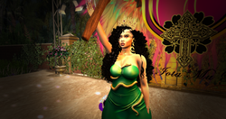 snapshot_008