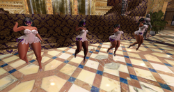 Snapshot_010