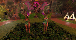 snapshot_011