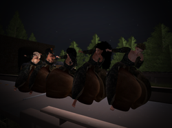 Snapshot_011