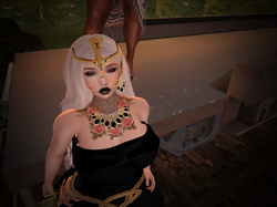 Snapshot_007