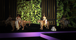 Snapshot_003