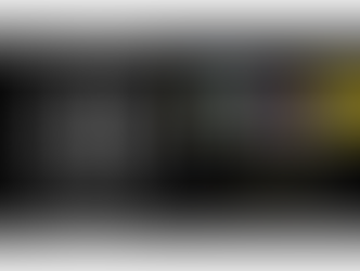 今年の夏もヒマワリを楽しもう!Enjoy! Vincent’s