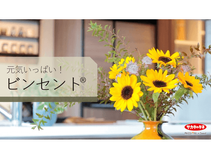 元気いっぱい!「ビンセント®」