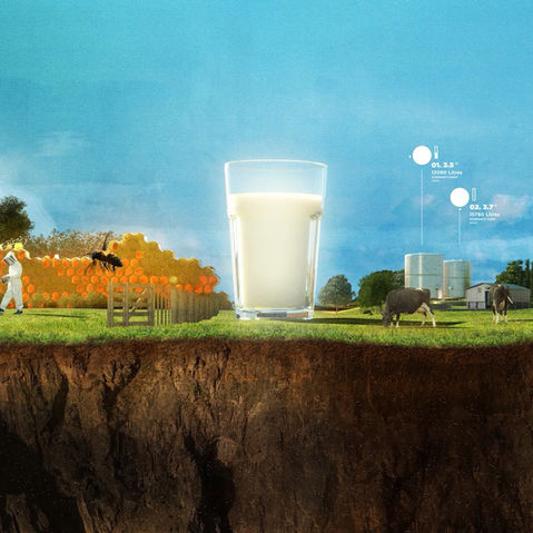 Dubai Expo New Zealand Pavilion