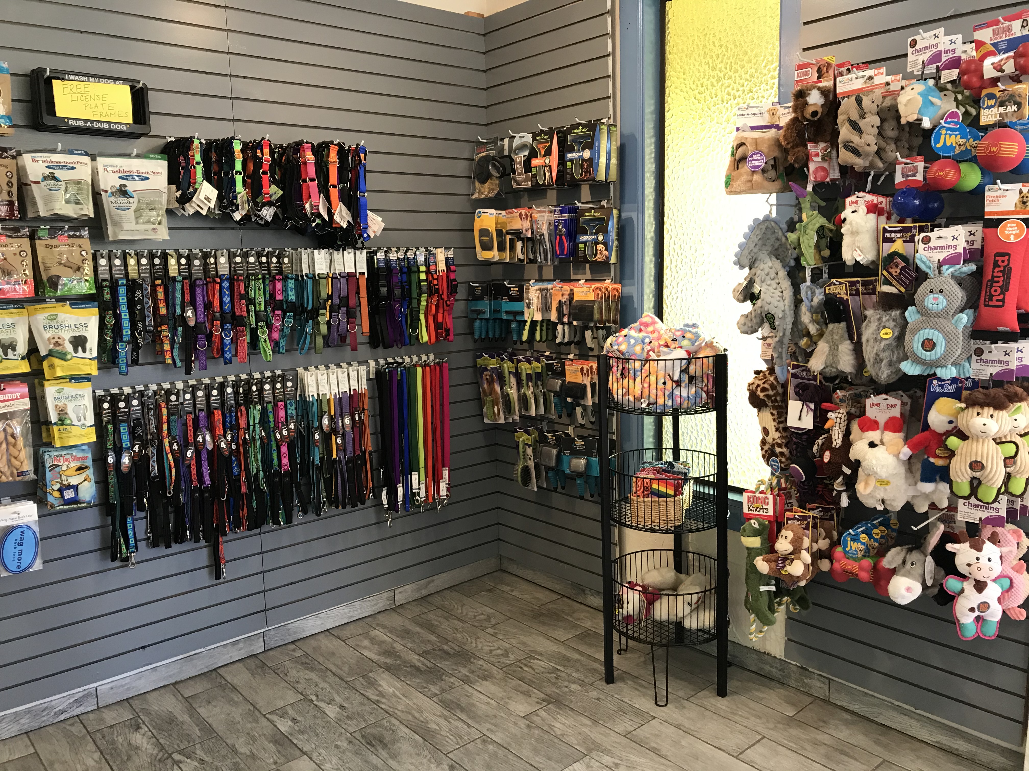 Self Service Dog Wash Seattle RubaDub Dog Wash