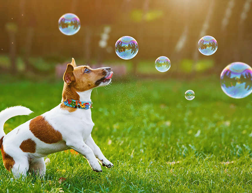 shutterstock_485282986.jpg