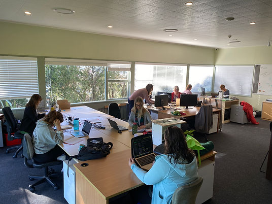 Staff_working_hard_Puawai.JPG