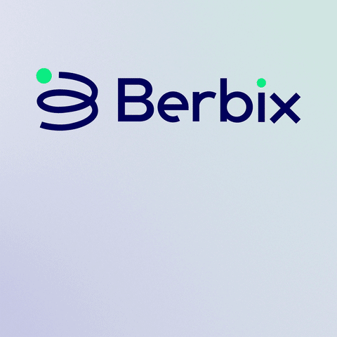 Berbix Gif sm.gif