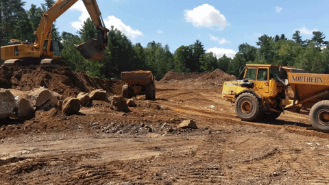 Northern Con gif.gif