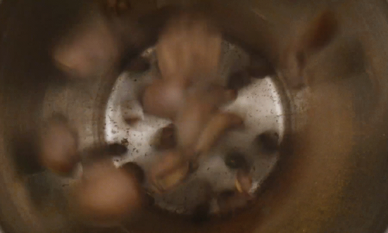 Acola - Final Short_3.gif