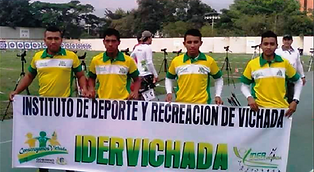 LIGA VICHADA.png